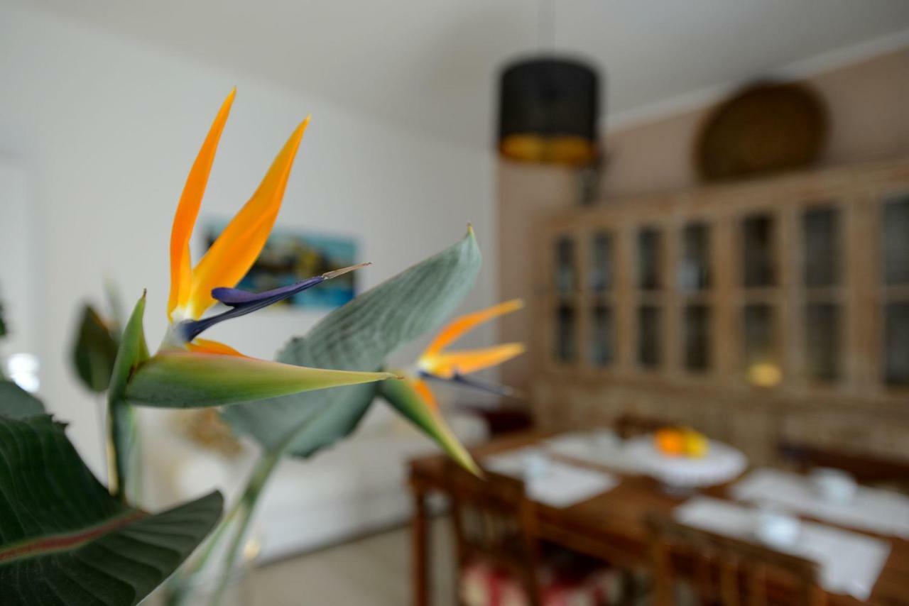 B&B Alghero 82 المظهر الخارجي الصورة